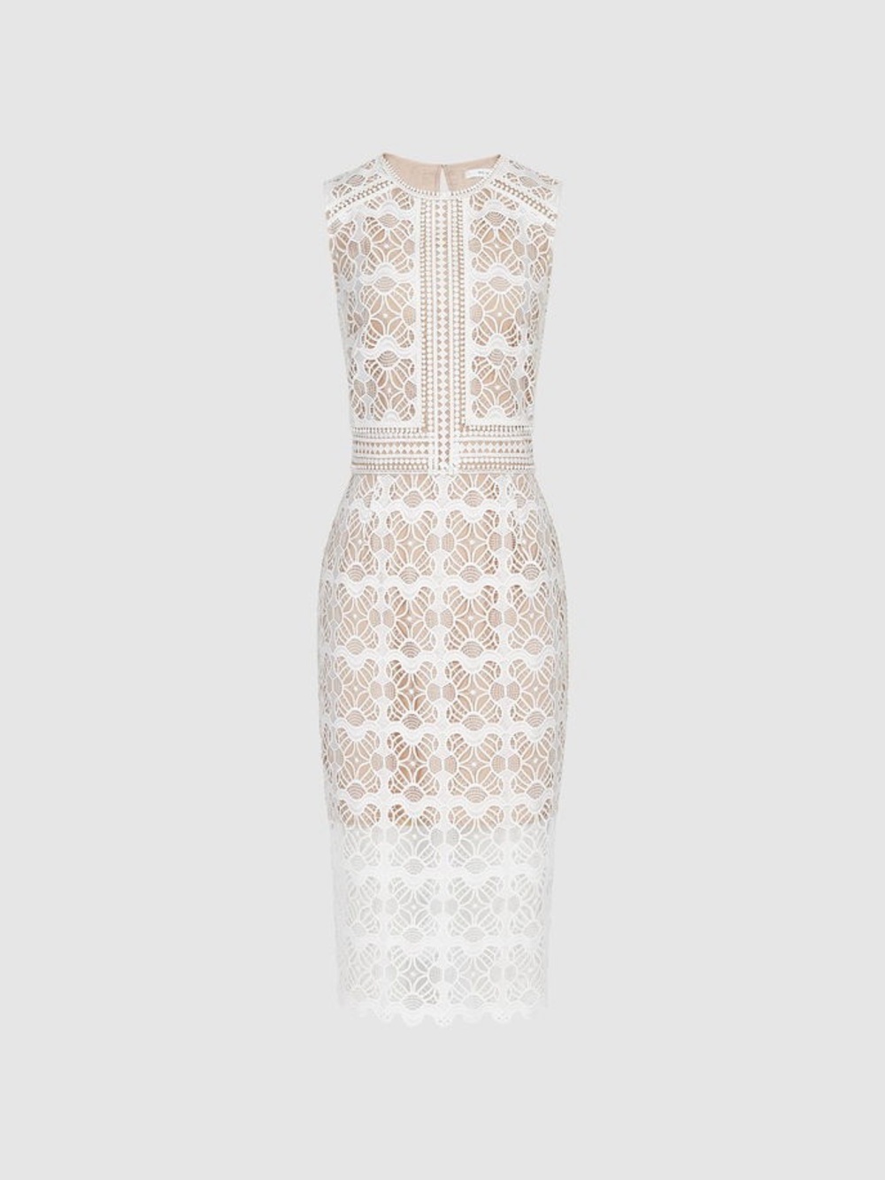 Reiss Coral Lace Slim Fit Midi Dress in white size US 4 NWT - Picture 5 of 14